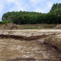 Soil exchange for filtering basin